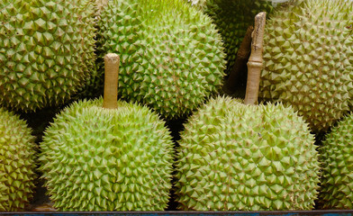 Raw durian fruits at rural market