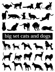 big set cats and dogs. silhouettes. vector