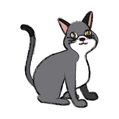 Cat pet cartoon icon vector illustration graphic design