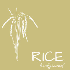 vector background with rice logo, hand-drawn plants - 170593851