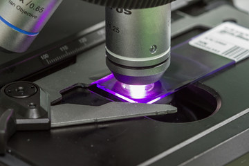 microscopes in Laboratory hospital