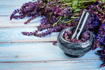 Sage plant and  mortar on blue wooden background. Alternative health care fresh salvia flowers.