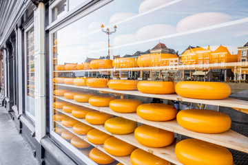 Fototapeta premium Dutch cheese heads on the shelves of the showcase with reflection of Delft city in Netherlands