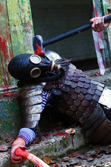 Fototapete bei efototapeten.de bestellen   