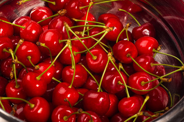 large ripe red cherries