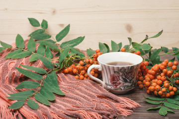 Autumn still life. Rowan berries, a cup of tea and a warm scarf.