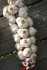 garlic plait