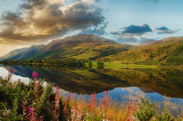 epic scenic loch in the scottish highlands. beautiful landscape from scotland with mountains, flowers and a loch with water reflections - 170602452