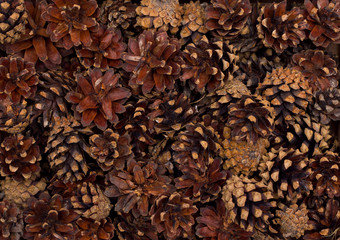 New Year's background of pine cones and toys