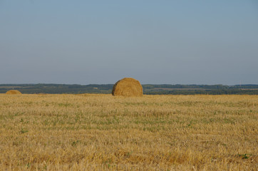 Round bale in field. Photo taken on sunset.