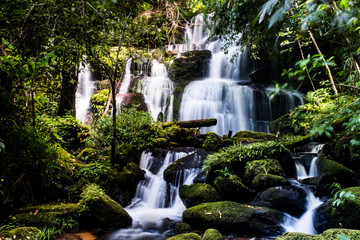 Fototapeta premium Waterfall with silky foam in deep rain forest,Pitsanulok Thailand.