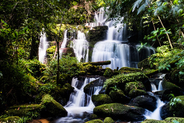 Waterfall with silky foam in deep rain forest,Pitsanulok Thailand.