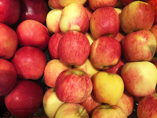 Variety of Apple 