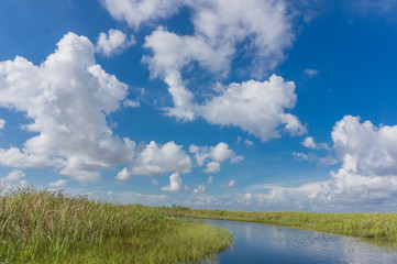 Everglades