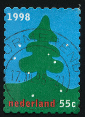 merry christmas holiday