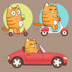 Cute cat character. Set of cute cartoon cat in various poses