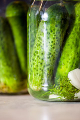 Pickled cucumbers in a jar with spices and herbs close up