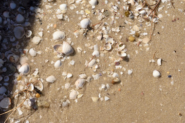 Texture of the beach in the estuary of Arousa, Galicia