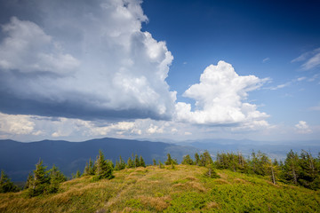 field of spring grass and mountain