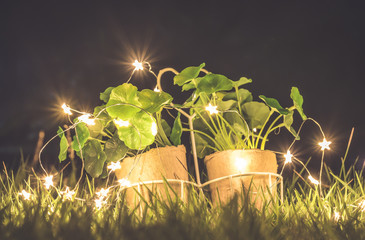 Small artificial plant pot with warm lights on meadow at night  for background 