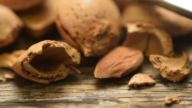 Mandorla Almendra &Alpha;&mu;ύ&gamma;&delta;&alpha;&lambda;&omicron; Almond Mandle M&egrave;nnula Mandorle plod Amandel video Amande Seme Migdały noot Ametlla 