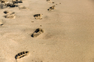 ślad stóp na plaży