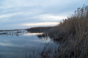 beautiful sunrise on the lake