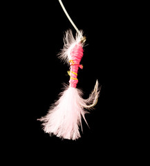 fly to catch fish on a black background