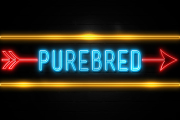 Purebred  - fluorescent Neon Sign on brickwall Front view