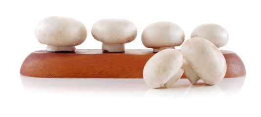 champignon isolated on white background