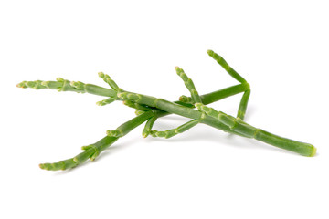Fresh marsh samphire a coastal plant with vibrant green stalks and a crisp salty taste isolated on...