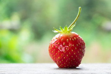 One strawberry with a stem close-up on a blurred green background