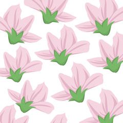 Beautiful flowers background icon vector illustration graphic design