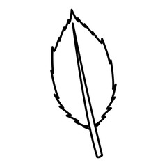 Leaf eco symbol icon vector illustration graphic design