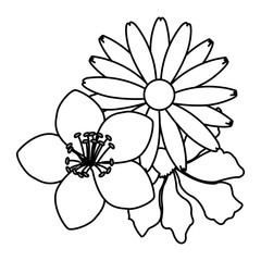 Beautiful decorative flowers icon vector illustration graphic design