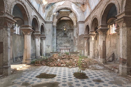 Lost Church with Plants