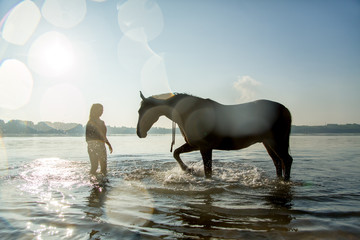 Pferd im Gegenlicht im See
