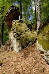 Fototapeta na wymiar Felsengruppe Diebskeller bei Altenstein, Naturpark Haßberge, Unterfranken, Bayern, Deutschland