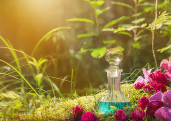 Magic potion in bottle in forest