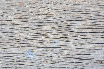 Fototapeta premium old wooden board,old wood plank,Old wood background,wood texture background