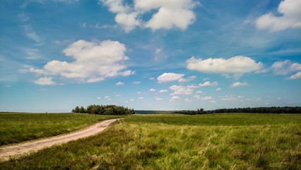 Fototapeta na wymiar Scenic View Of Heath Against Sky