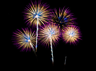 Fototapeta na wymiar Fireworks, Fireworks light up the sky,New Year celebration fireworks
