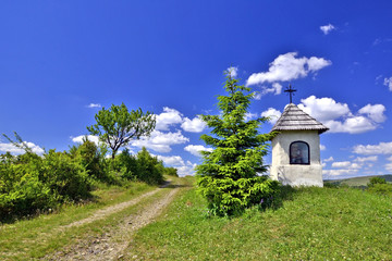 Small white chapel in green field near Jasliska, Beskid Niski, Poland - obrazy, fototapety, plakaty