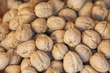 NUECES