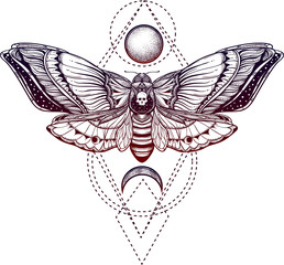 black and white deadhead butterfly on sacred geometry vector illustration