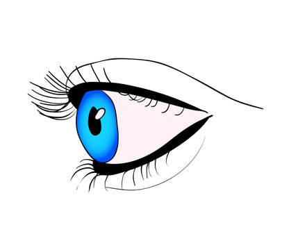 human eye close up vector symbol icon design. Beautiful illustration isolated on white background