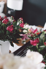 Peony.