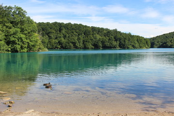 プリトヴィツェ湖郡国立公園/透明に冴えわたるエメラルドグリーンの湖。大小さまざまな姿で流れ落ちる滝でつながれた16個の湖が、緑の渓谷の間で階段上に美しい水をたたえている様子は、自然そのものの姿であるにもかかわらず、超自然的な力をも感じさせる景観は圧巻です。