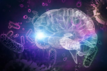 Composite image of 3d illustration of human brain 