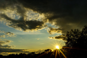 Cloudy sky and forest silhouette